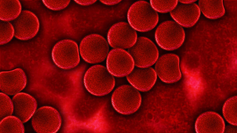 Blood anticoagulation system for extracorporeal circuits